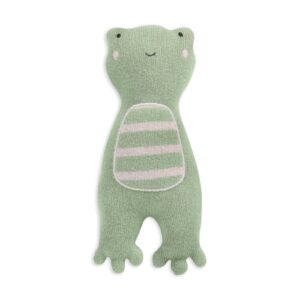 Little Hands Toy - Friendly Frog
